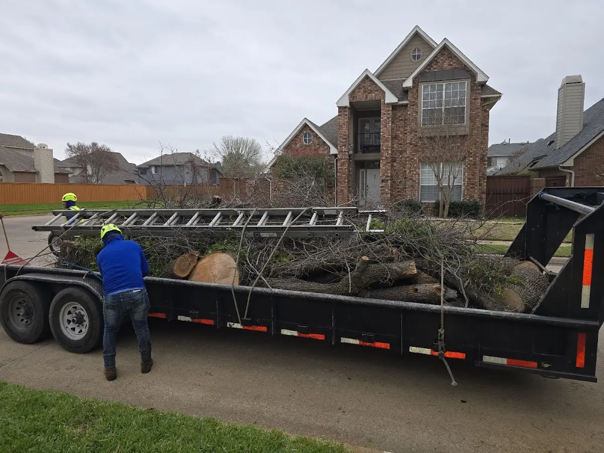Expert Tree Fertilization with proper safety equipment in Beach City